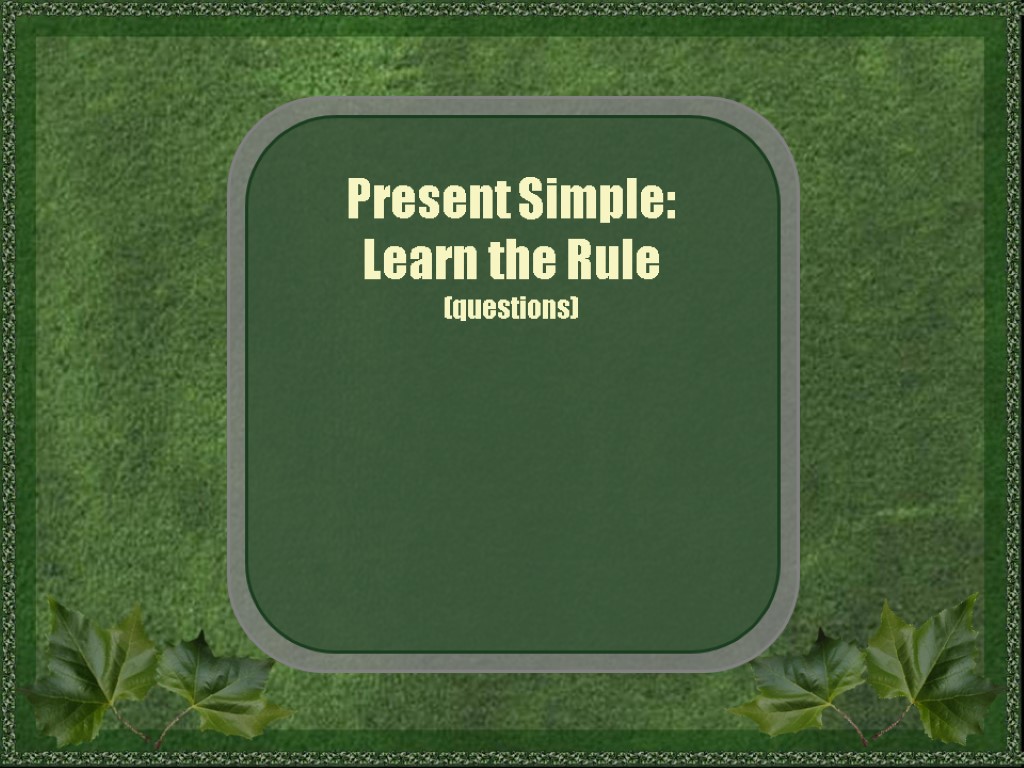 Present Simple: Learn the Rule (questions)